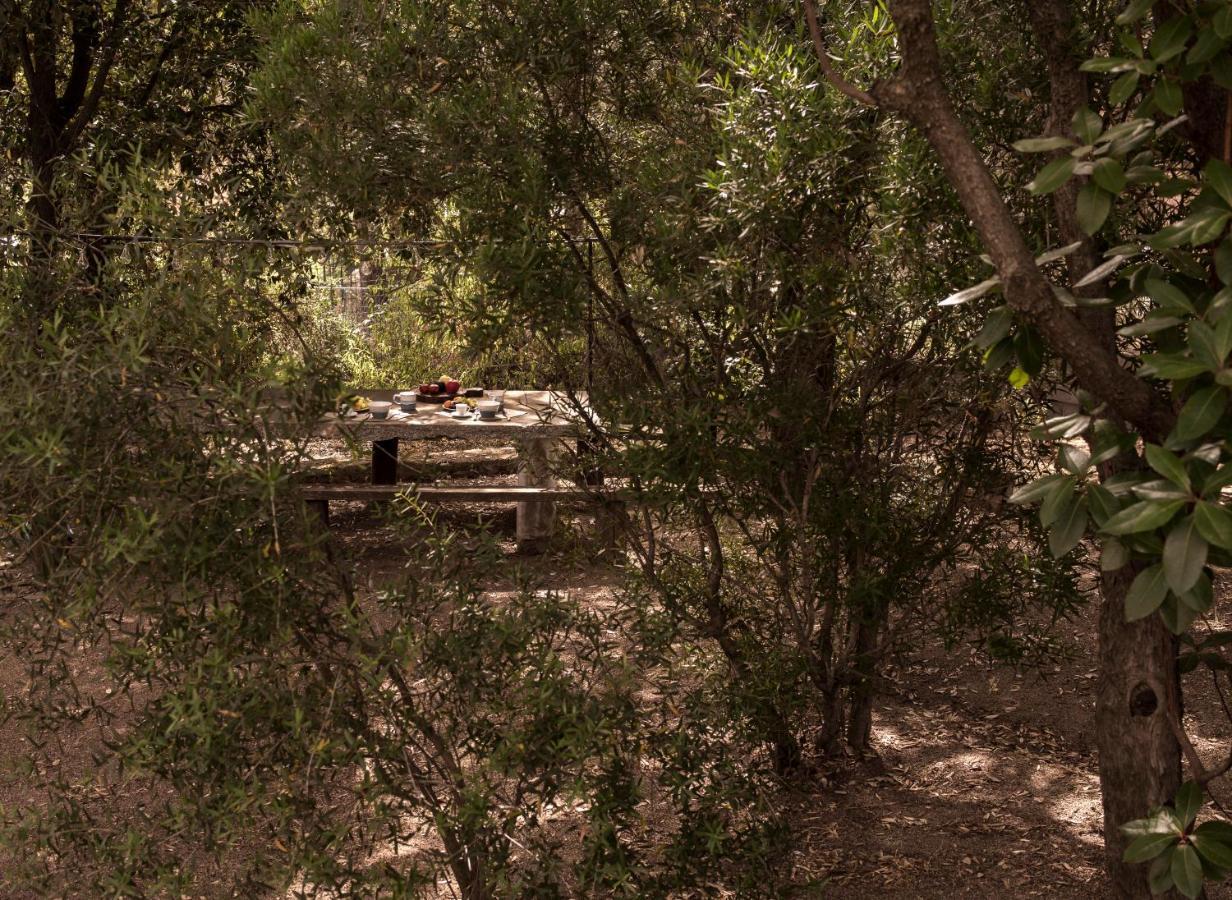 Nel Giardino Dei Pesci Volanti Vila San Pantaleo Exterior foto