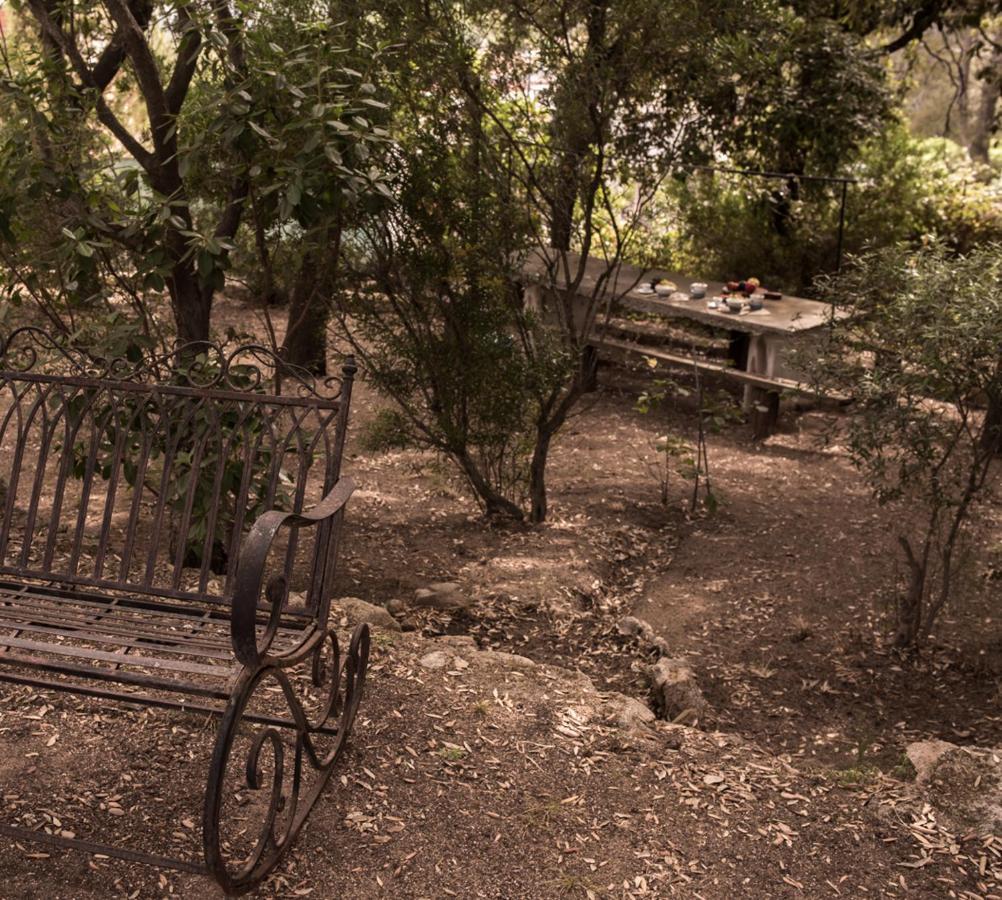 Nel Giardino Dei Pesci Volanti Vila San Pantaleo Exterior foto